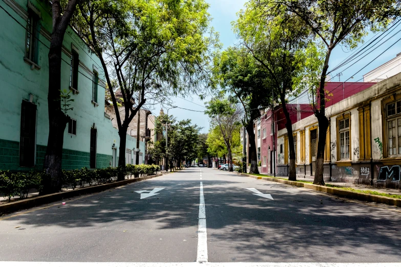 a view down a tree lined road in a residential area