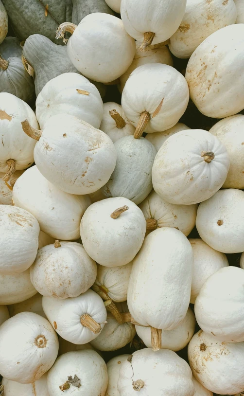 some white pumpkins, and their tops are all turned upside down