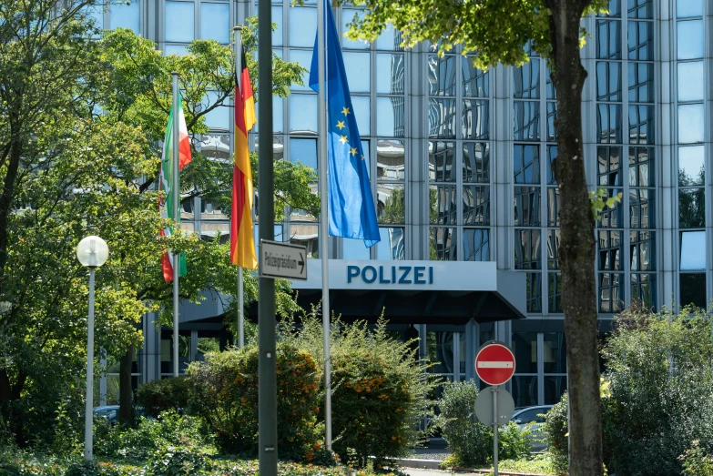 some flags hanging off of poles near the trees