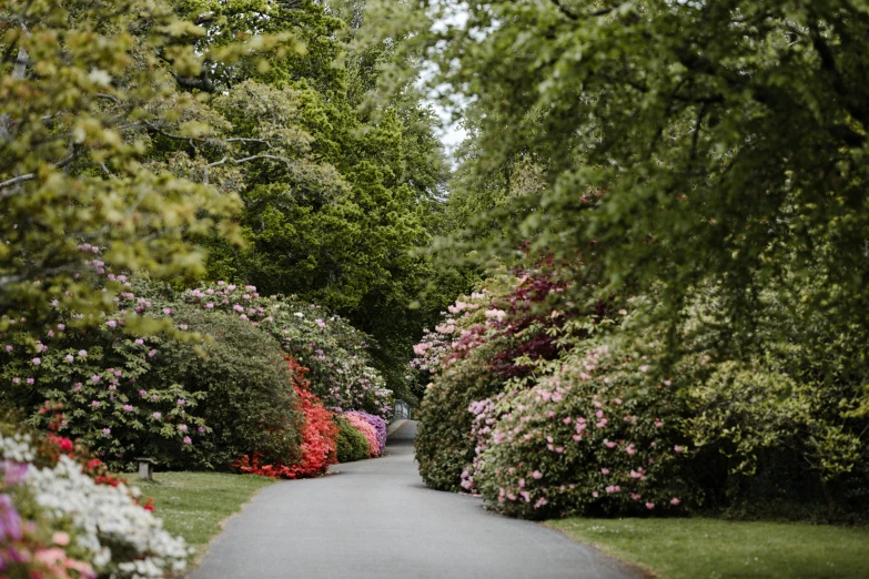 an pathway with pink, red, and white flowers in the middle