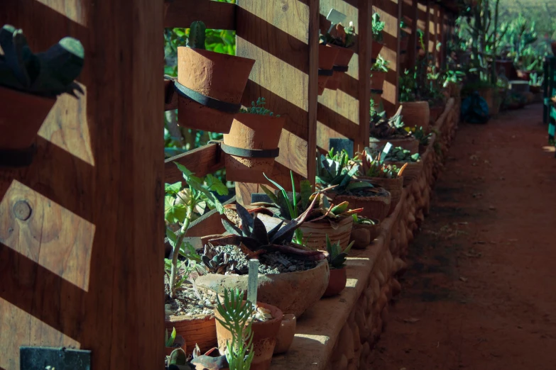 an outdoor garden that has potted plants on it