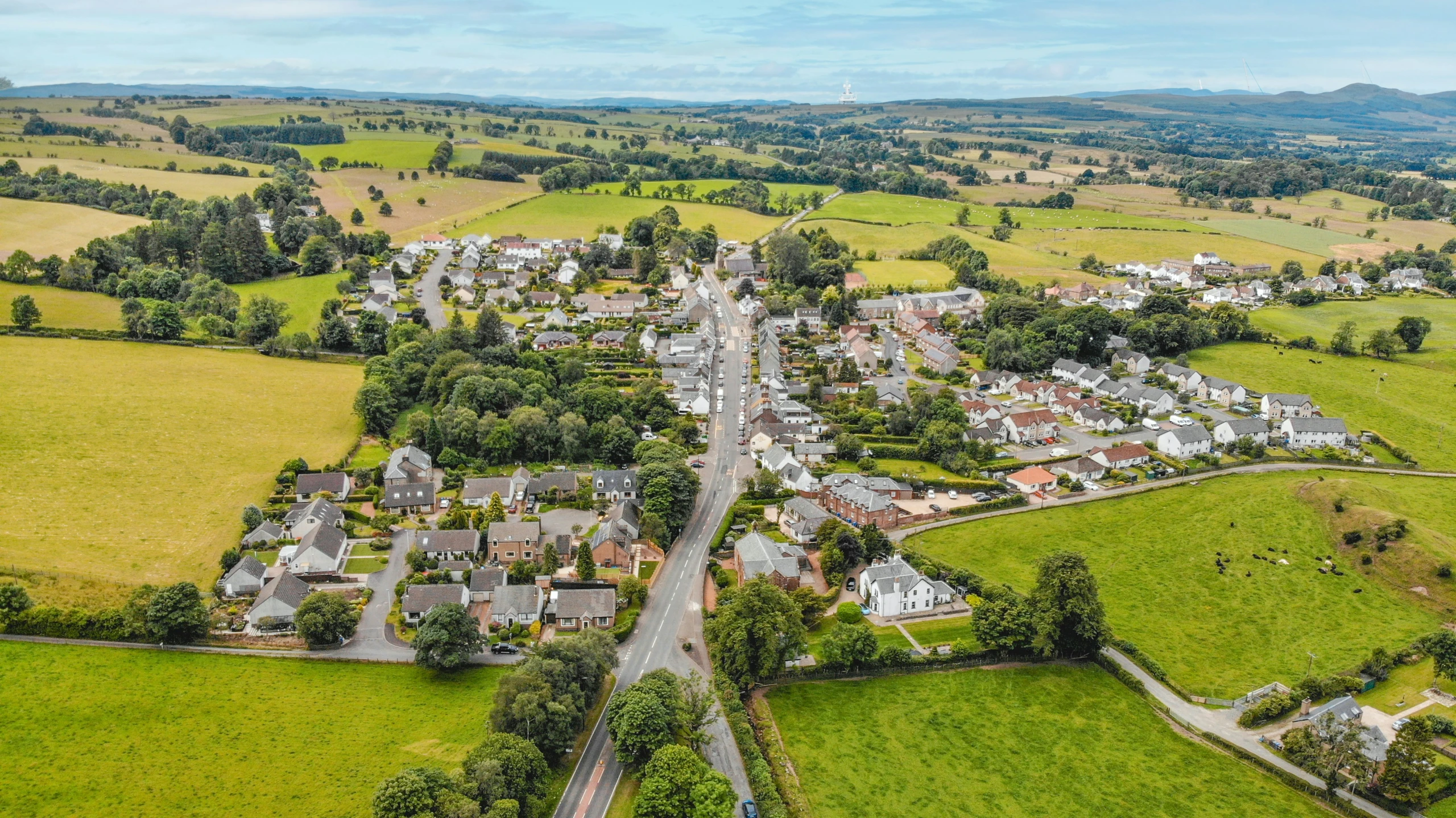 the town of a large residential neighborhood with lots of green grass