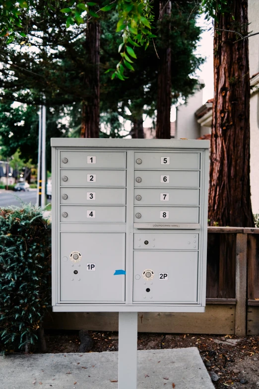 two mail boxes are located next to a tree