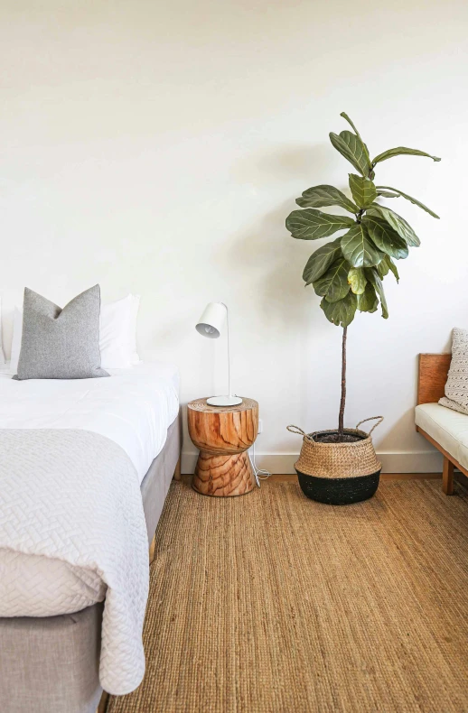 a bedroom with rattan seating and an air plant in a pot