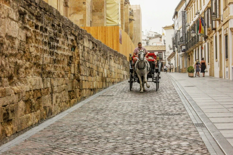 a horse drawn carriage walking down a brick lined street