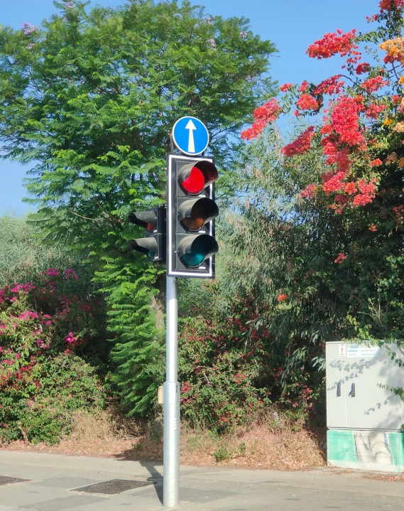 a sign for the light on a street corner