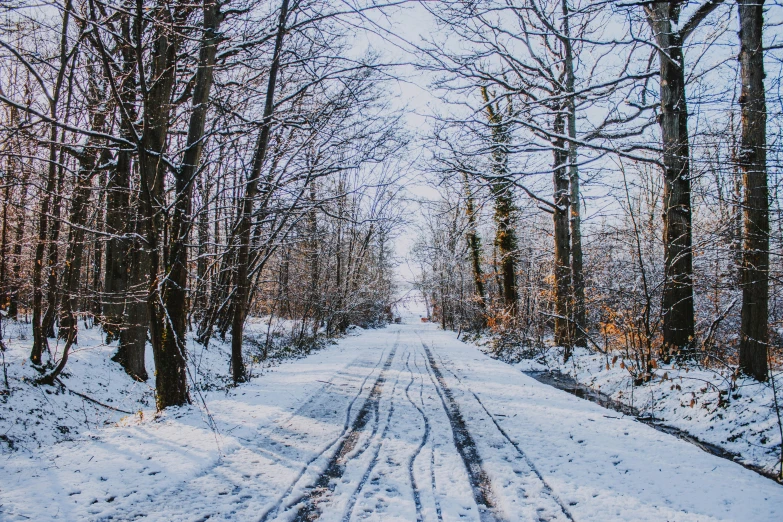 snow covered roads are surrounded by trees and grass