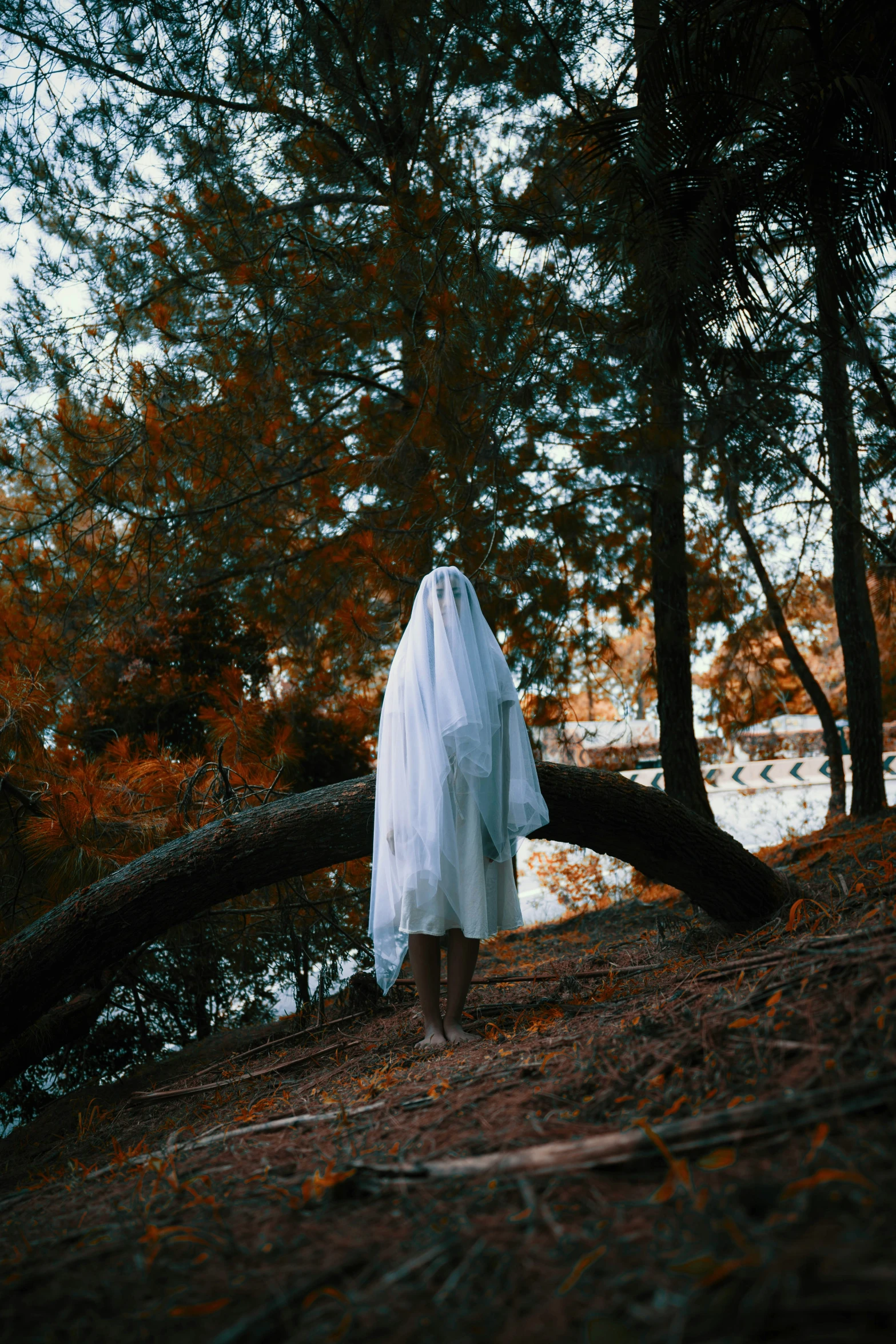 a ghostly woman in a white veil is standing under a tree