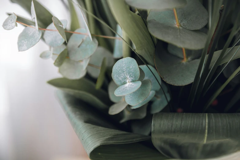 flowers with green leaves on the stem and on the center