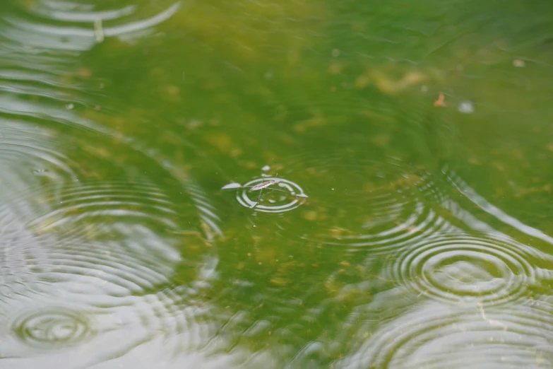 a view of the water that looks as it reflects