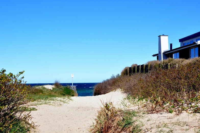 a stop sign on a sand dune near a beach