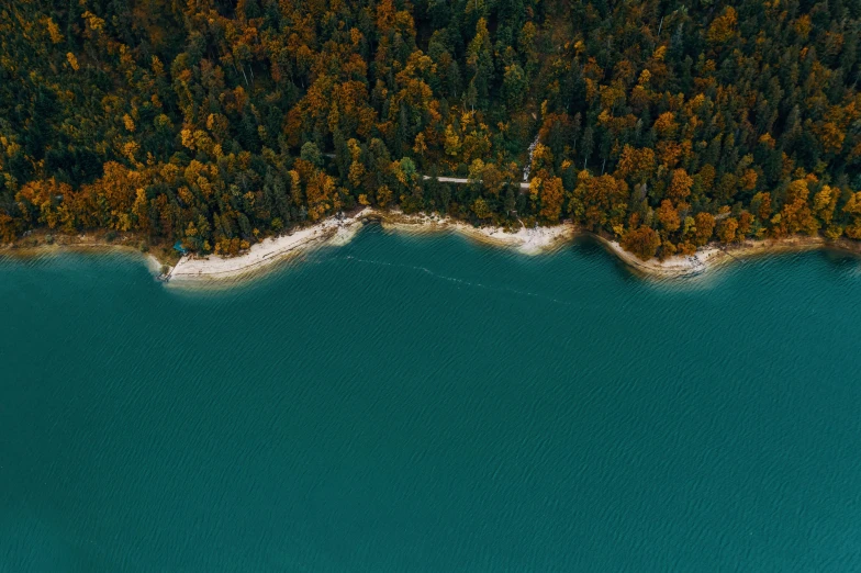 an aerial po of a large body of water with lots of trees