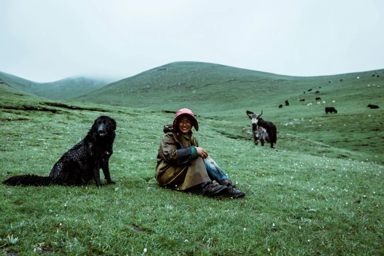 a woman and two dogs are sitting in a pasture