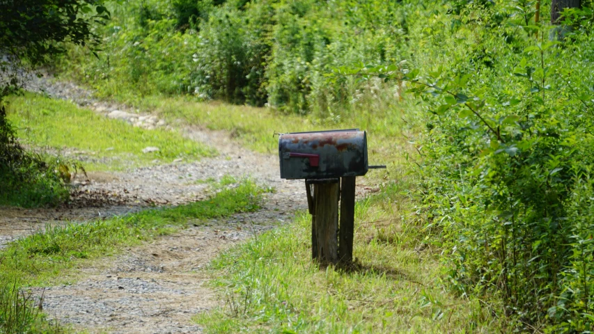 an old mail box next to a dirt path in the woods