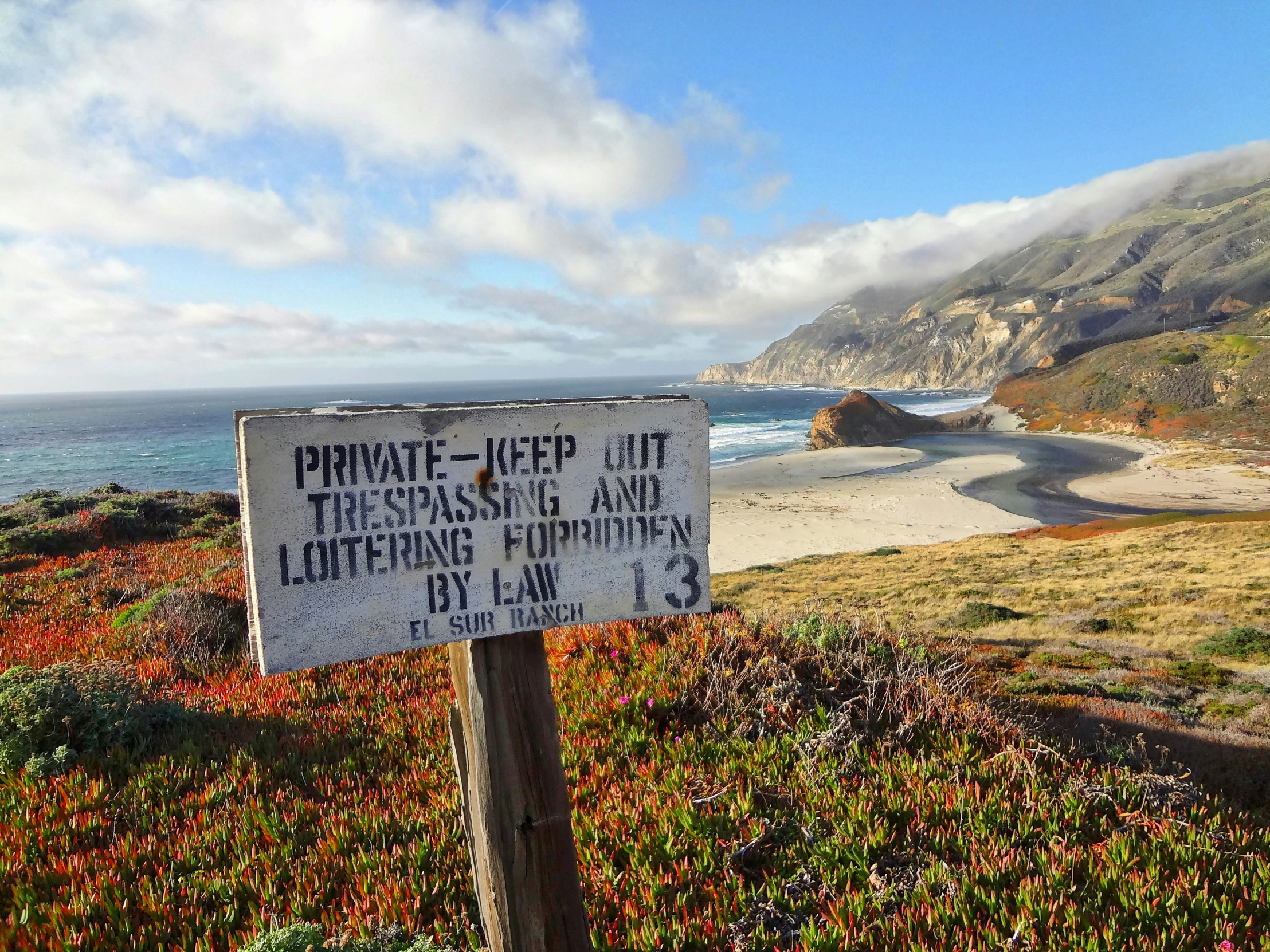 a sign that is by some bushes near the beach