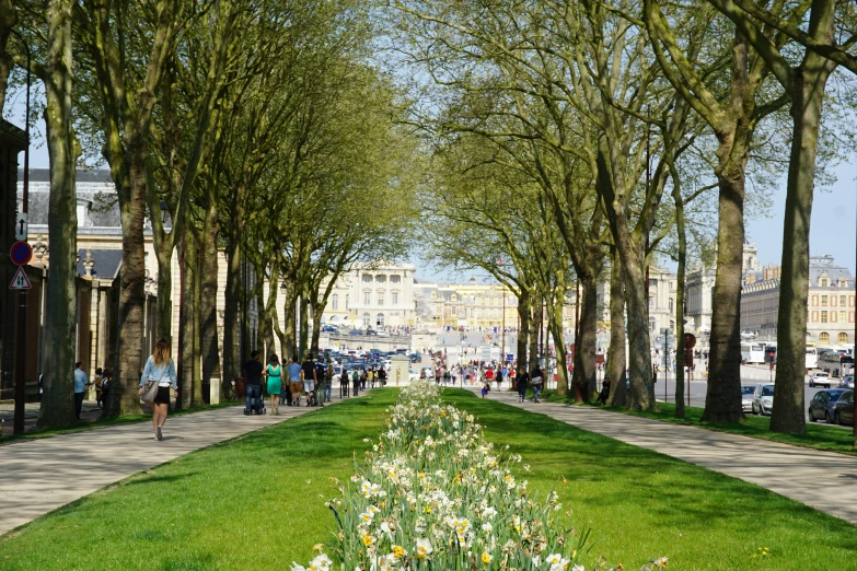 some trees and people walk along an empty street