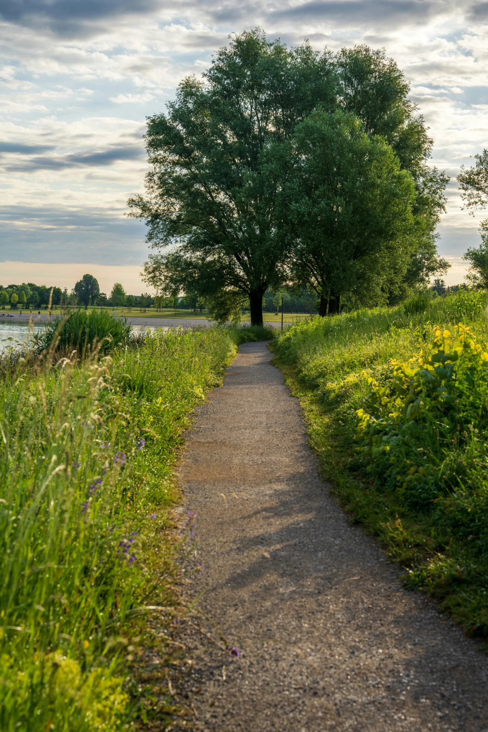 an area that is not very in use with the green