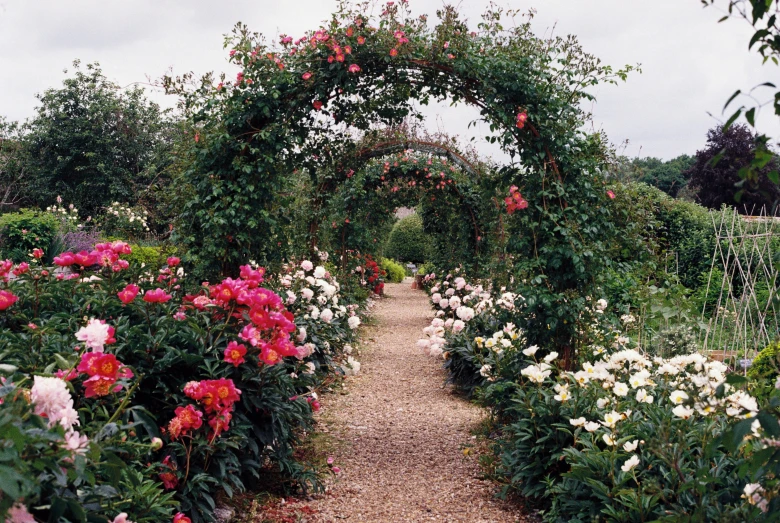 a garden of many different colors and shapes with a path lined by flowers