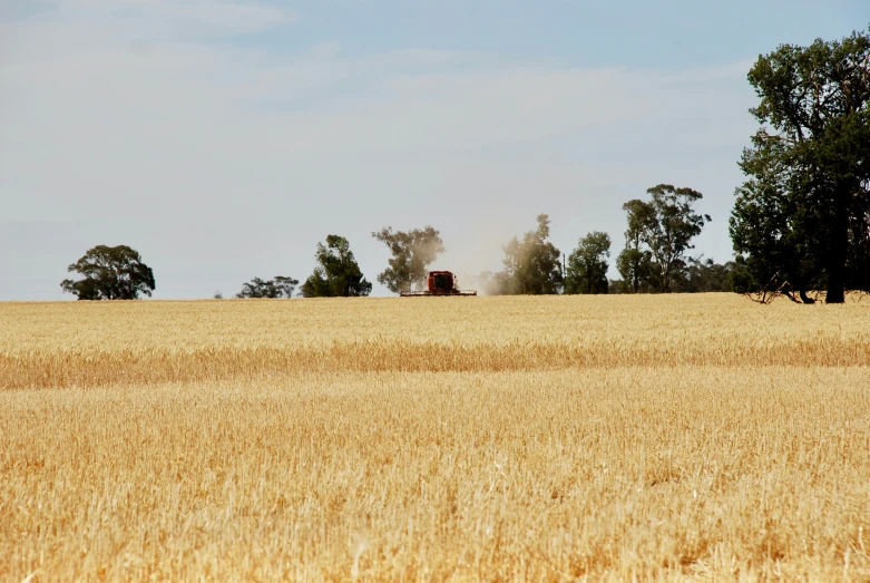 a truck driving along a rural farm road