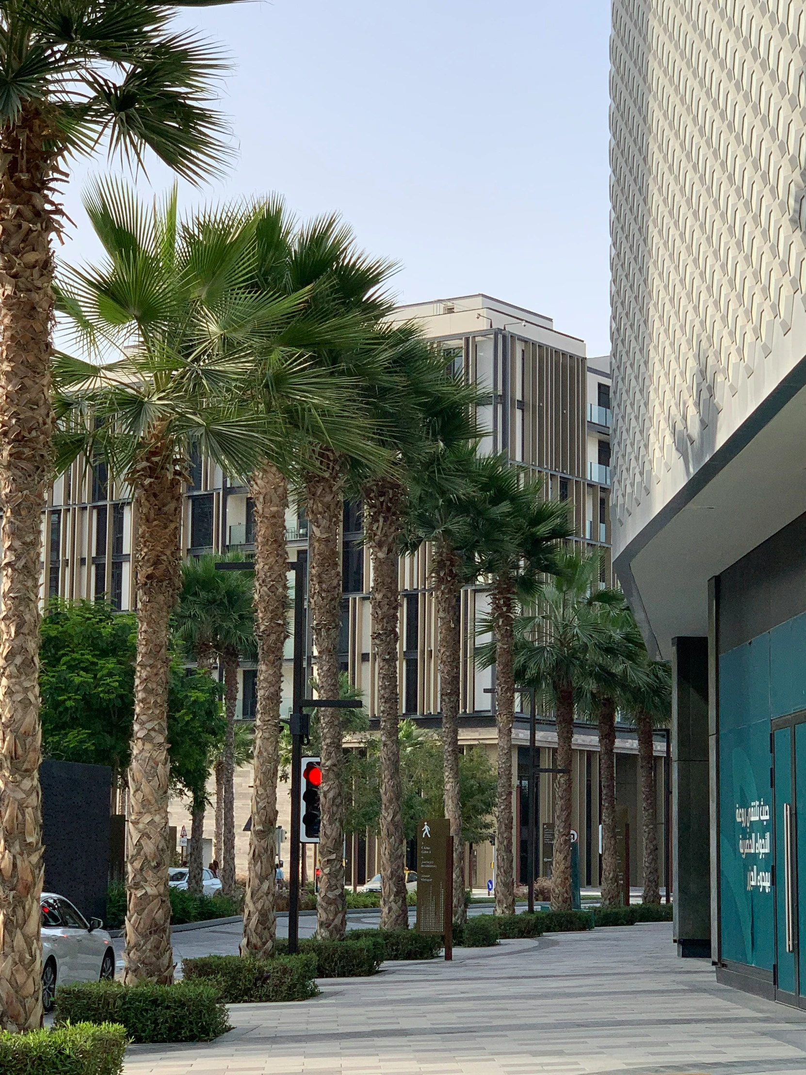 the walkway is surrounded by palm trees and other greenery