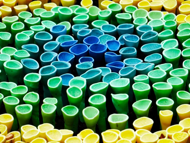 rows of long and skinny plastic tubes arranged on a table