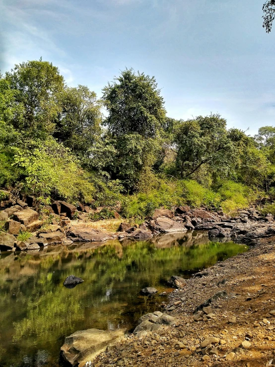 a very wide body of water with trees in the background