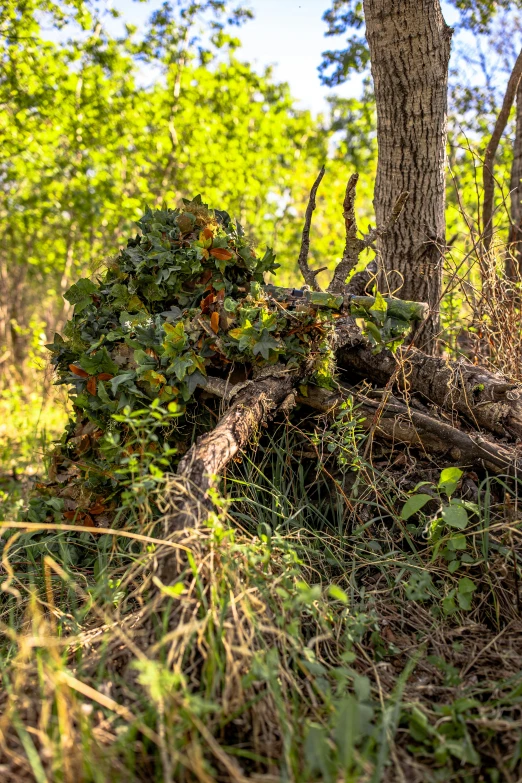 a wooden chair sitting in the grass under a tree