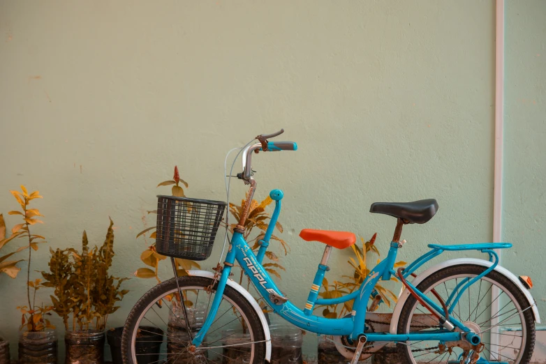 a blue bicycle is next to potted plants