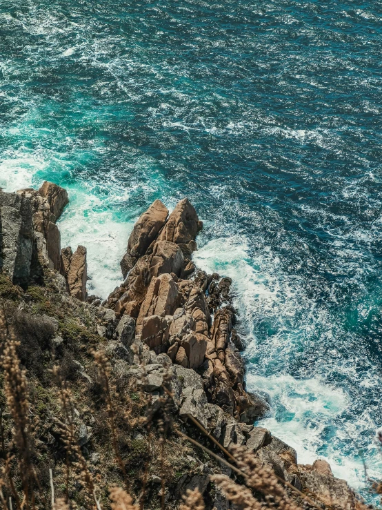 a bird perched on the side of a rocky cliff over looking the ocean