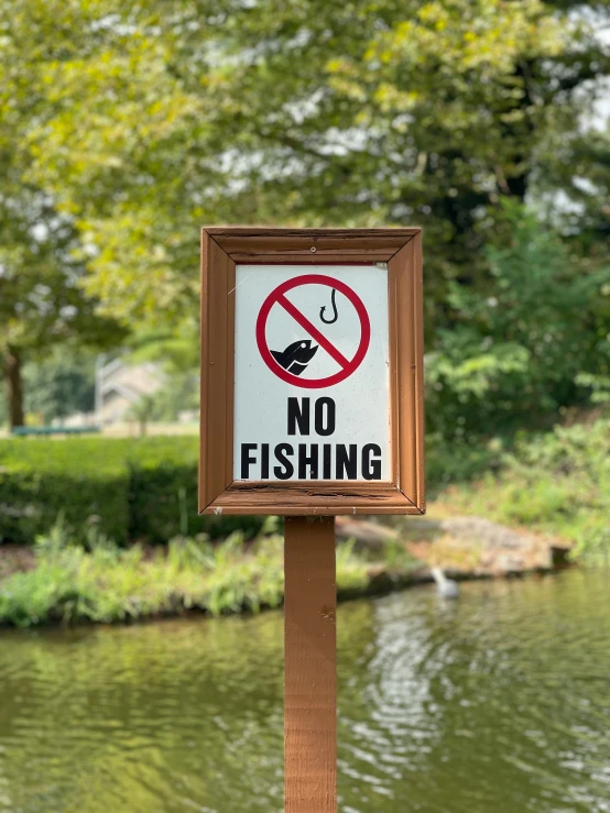 a sign saying no fishing is posted on a small wooden block by the lake