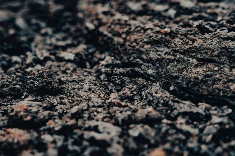 a closeup view of some dirt ground