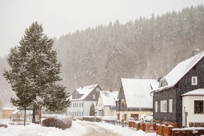 a town that has some trees covered in snow