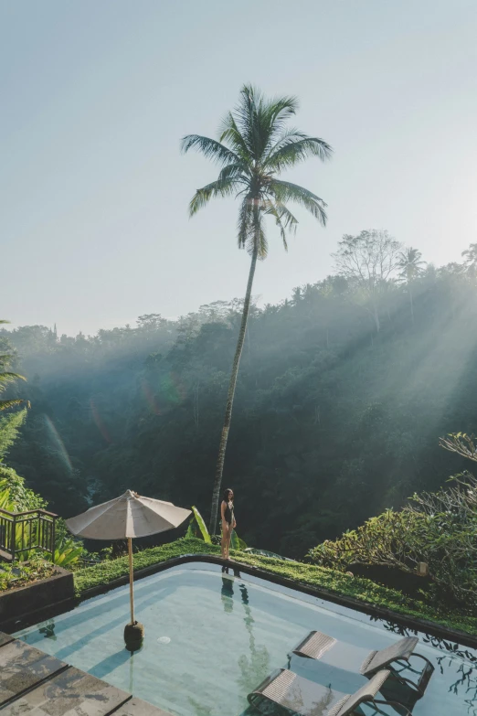 an open air swimming pool surrounded by palm trees