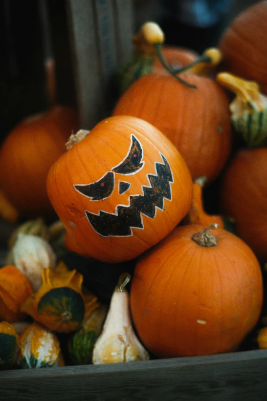 some very pretty pumpkins with faces painted on them