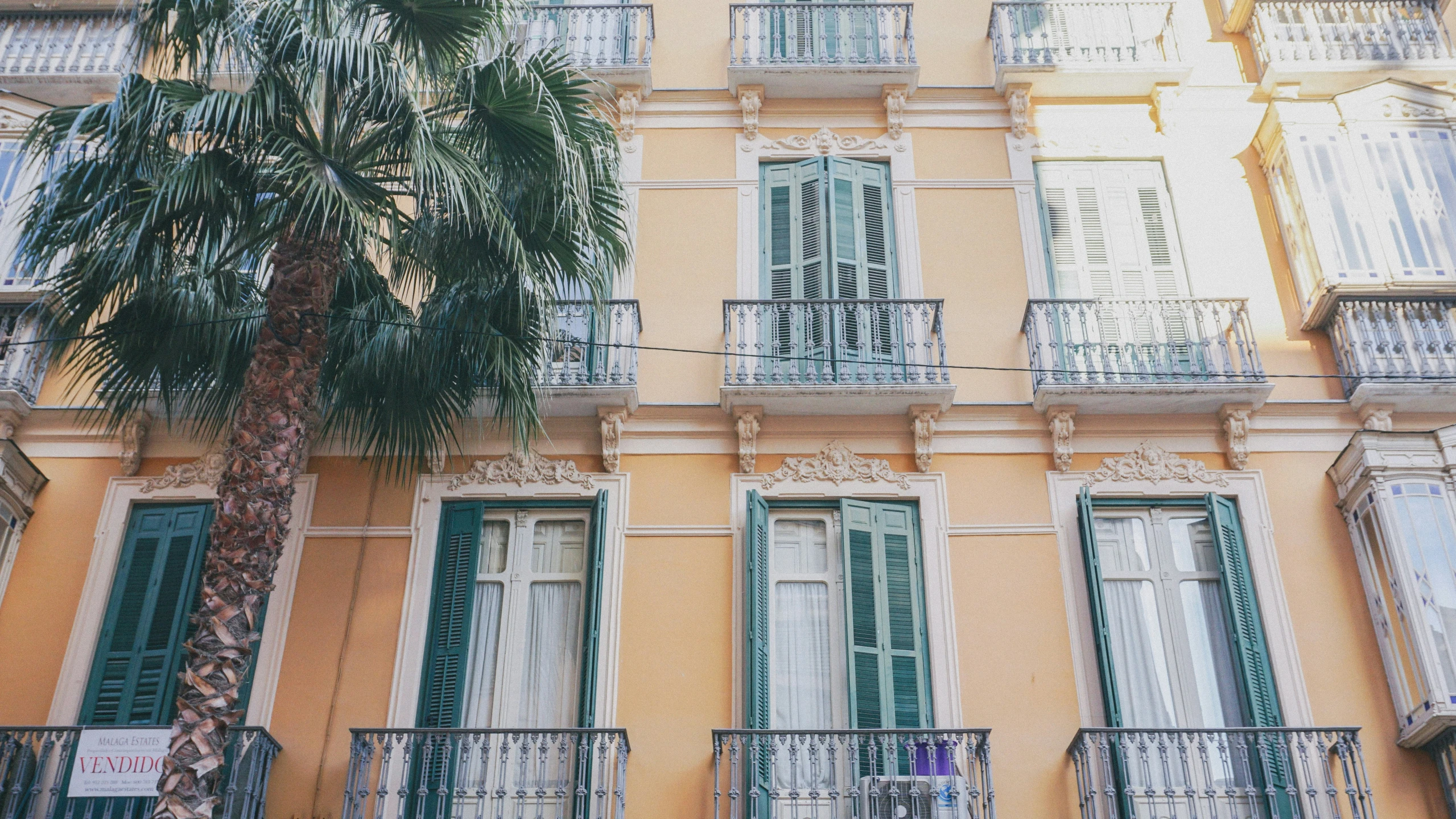 a building with green shutters and two trees