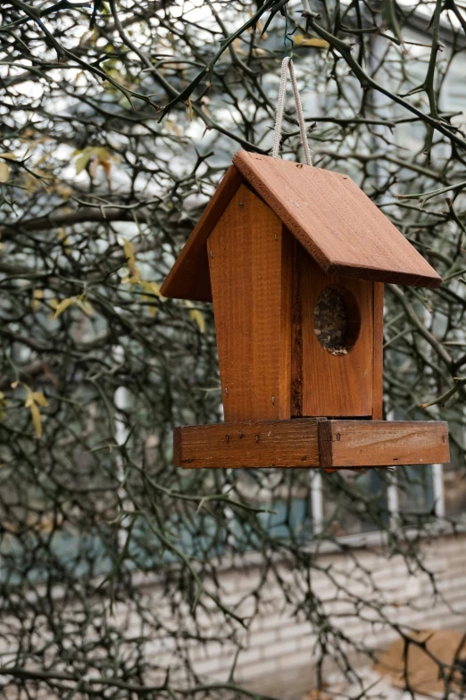 a birdhouse hangs from a tree in front of leaves
