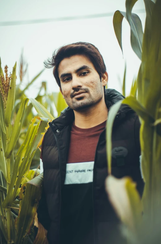 an indian man standing in the middle of corn