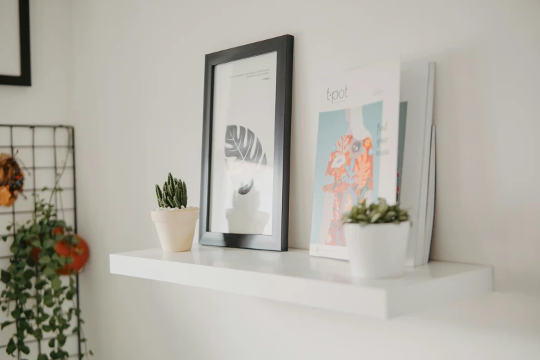 a white shelf with several pos and a potted plant