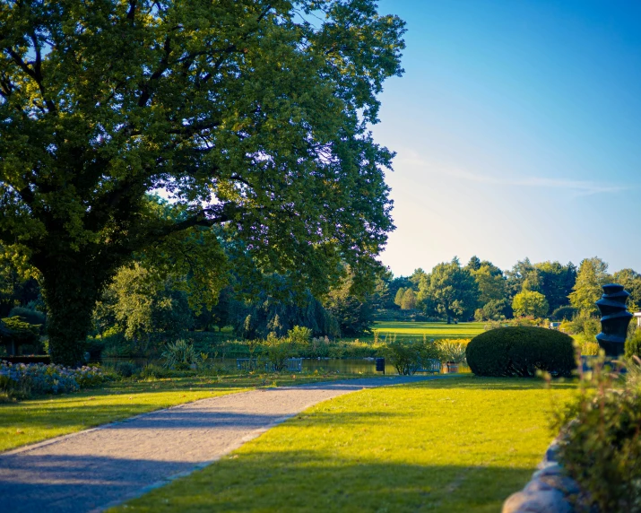 a walk way leads into a large park