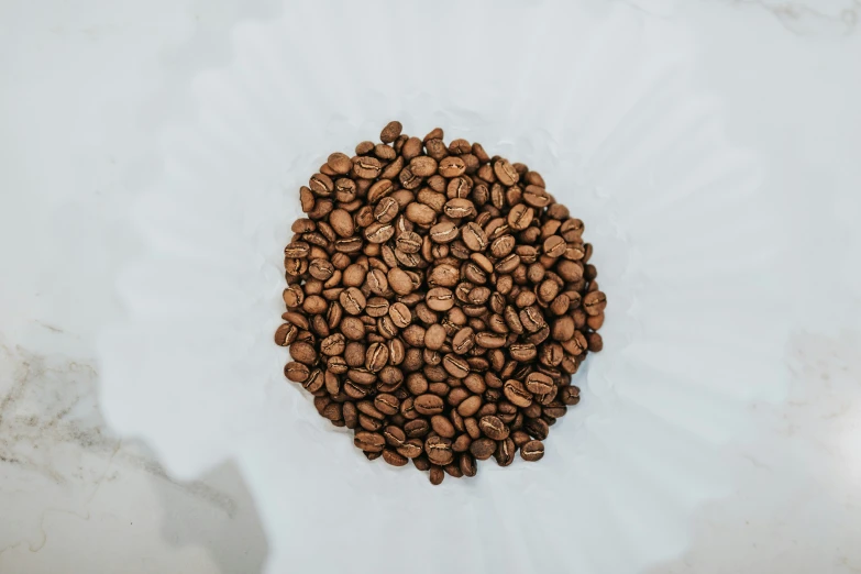 a bunch of nuts sits on a white sheet