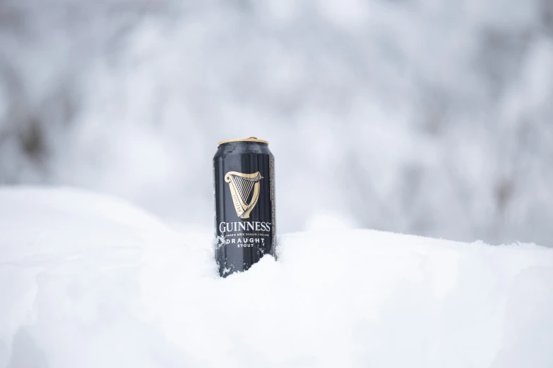 a can of guinness standing in the snow