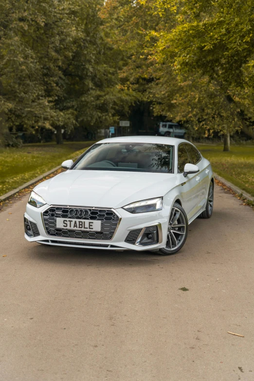 a white audi car in the middle of a quiet park