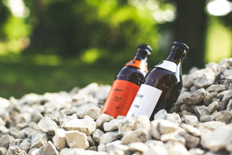 two bottles of beer sit on top of a pile of rocks