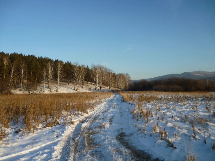 there is a large area with a road through it