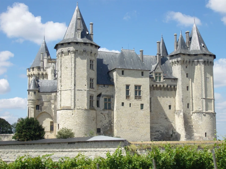 an old castle has towers and some bushes