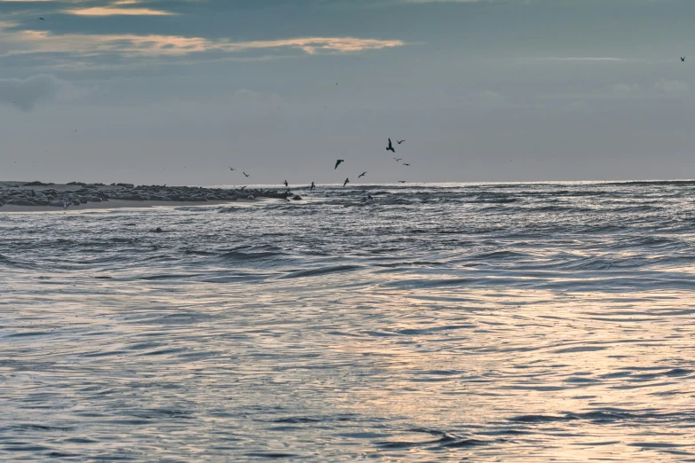 there are birds flying over the ocean waves