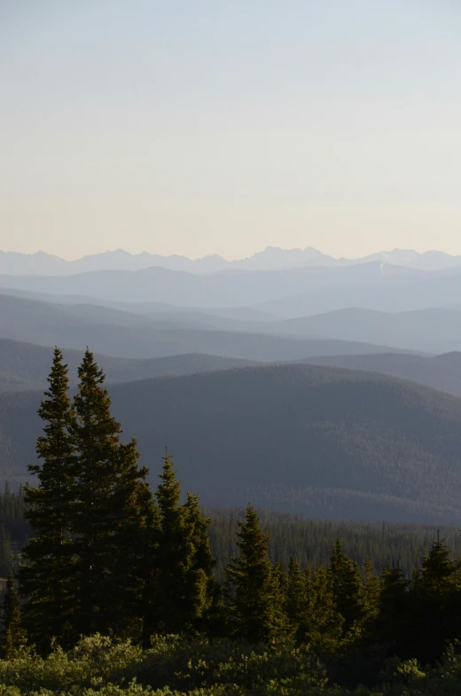 the view of some mountains from near a forest