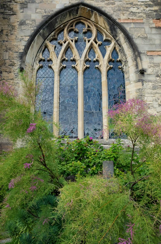 a gothic cathedral's window is surrounded by flowers and vegetation