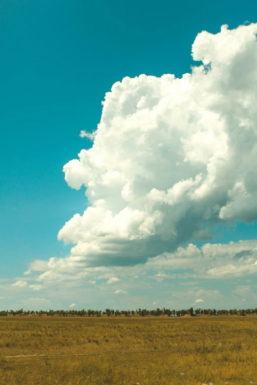 two people on horses are in an open field