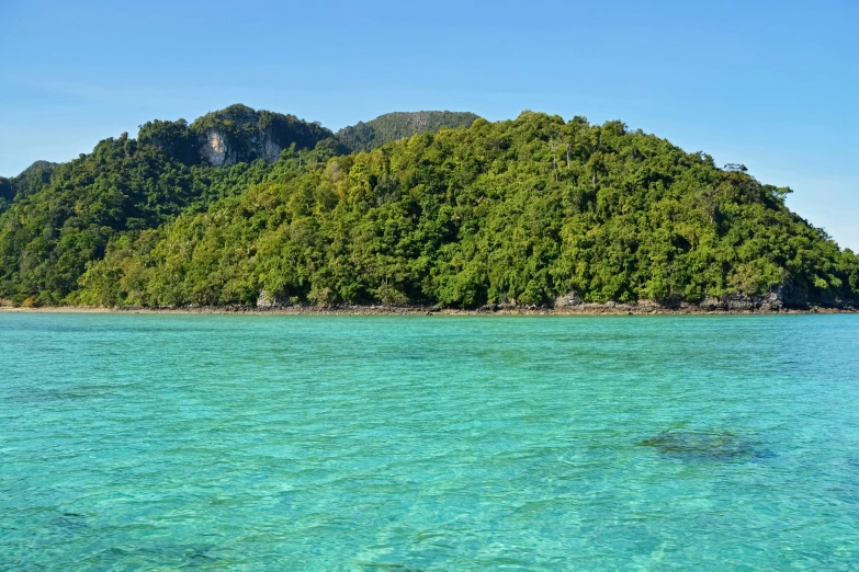 an island in the ocean next to some trees